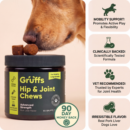Hip + Joint Chews