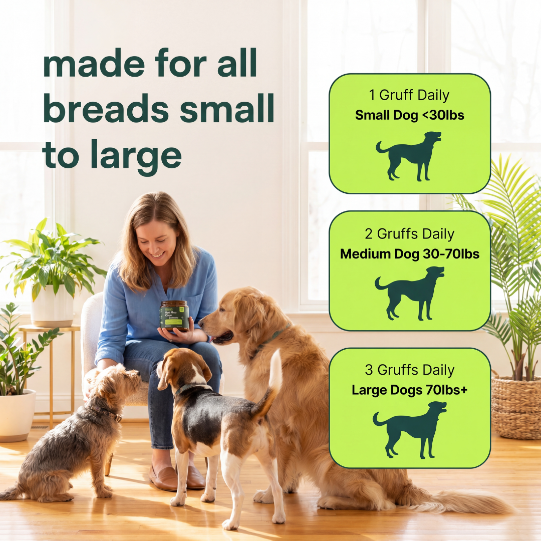 Hip + Joint Chews